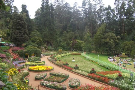 Ooty tourism